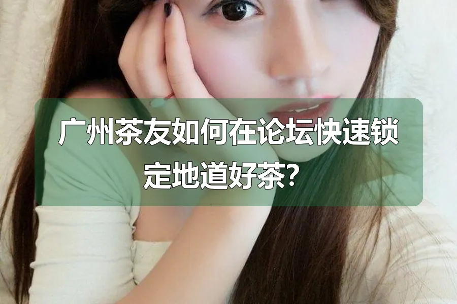 广州茶友如何在论坛快速锁定地道好茶？