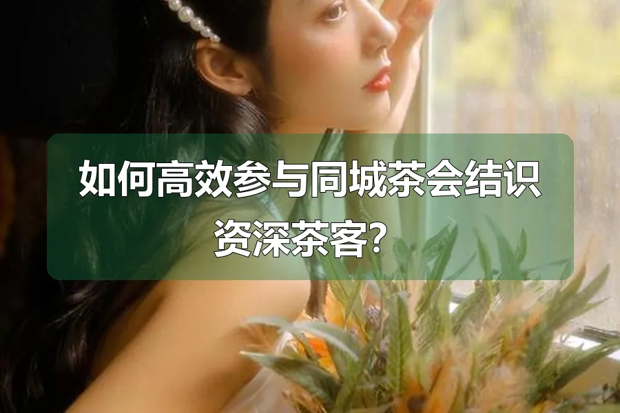 如何高效参与同城茶会结识资深茶客？